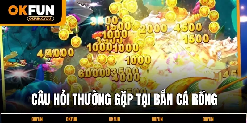 cau-hoi-thuong-gap-tai-ban-ca-rong