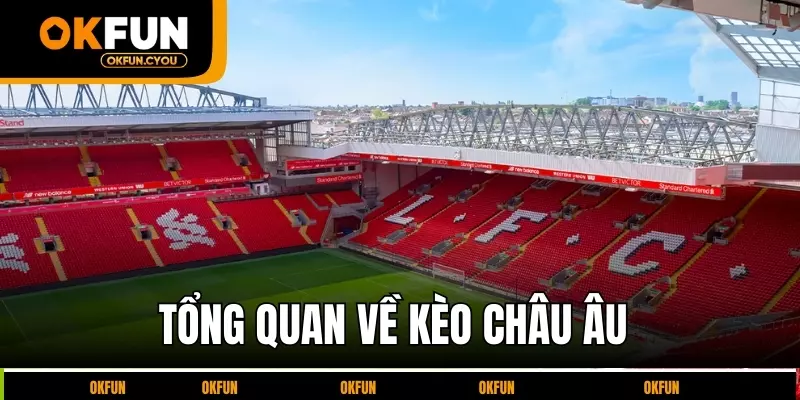 tong-quan-ve-keo-chau-au